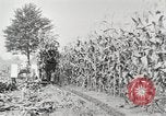 Image of Fordson tractors United States USA, 1924, second 24 stock footage video 65675064414