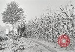 Image of Fordson tractors United States USA, 1924, second 25 stock footage video 65675064414