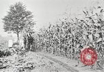 Image of Fordson tractors United States USA, 1924, second 26 stock footage video 65675064414