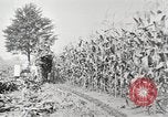 Image of Fordson tractors United States USA, 1924, second 27 stock footage video 65675064414