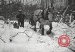 Standbild Holzindustrie United States USA, 1920, aus Sekunde 31 historischem Filmmaterial Videoclip 65675064422