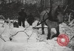 Standbild Holzindustrie United States USA, 1920, aus Sekunde 32 historischem Filmmaterial Videoclip 65675064422