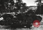 Standbild Holzindustrie United States USA, 1920, aus Sekunde 54 historischem Filmmaterial Videoclip 65675064422