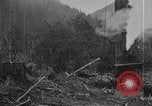 Standbild Holzindustrie United States USA, 1920, aus Sekunde 18 historischem Filmmaterial Videoclip 65675064423
