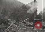 Standbild Holzindustrie United States USA, 1920, aus Sekunde 19 historischem Filmmaterial Videoclip 65675064423