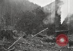 Standbild Holzindustrie United States USA, 1920, aus Sekunde 20 historischem Filmmaterial Videoclip 65675064423