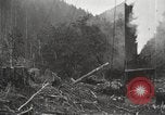 Standbild Holzindustrie United States USA, 1920, aus Sekunde 22 historischem Filmmaterial Videoclip 65675064423