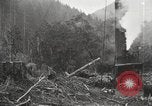 Standbild Holzindustrie United States USA, 1920, aus Sekunde 23 historischem Filmmaterial Videoclip 65675064423