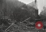 Standbild Holzindustrie United States USA, 1920, aus Sekunde 24 historischem Filmmaterial Videoclip 65675064423
