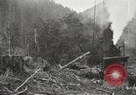 Standbild Holzindustrie United States USA, 1920, aus Sekunde 26 historischem Filmmaterial Videoclip 65675064423