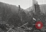 Standbild Holzindustrie United States USA, 1920, aus Sekunde 27 historischem Filmmaterial Videoclip 65675064423
