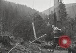 Standbild Holzindustrie United States USA, 1920, aus Sekunde 28 historischem Filmmaterial Videoclip 65675064423