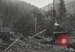 Standbild Holzindustrie United States USA, 1920, aus Sekunde 29 historischem Filmmaterial Videoclip 65675064423