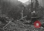 Standbild Holzindustrie United States USA, 1920, aus Sekunde 30 historischem Filmmaterial Videoclip 65675064423