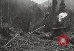 Standbild Holzindustrie United States USA, 1920, aus Sekunde 31 historischem Filmmaterial Videoclip 65675064423