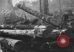 Standbild Holzindustrie United States USA, 1920, aus Sekunde 33 historischem Filmmaterial Videoclip 65675064423