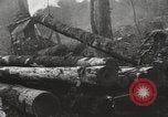 Standbild Holzindustrie United States USA, 1920, aus Sekunde 34 historischem Filmmaterial Videoclip 65675064423