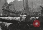Standbild Holzindustrie United States USA, 1920, aus Sekunde 35 historischem Filmmaterial Videoclip 65675064423