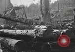 Standbild Holzindustrie United States USA, 1920, aus Sekunde 36 historischem Filmmaterial Videoclip 65675064423