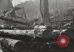 Standbild Holzindustrie United States USA, 1920, aus Sekunde 37 historischem Filmmaterial Videoclip 65675064423
