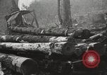 Standbild Holzindustrie United States USA, 1920, aus Sekunde 38 historischem Filmmaterial Videoclip 65675064423