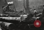 Standbild Holzindustrie United States USA, 1920, aus Sekunde 39 historischem Filmmaterial Videoclip 65675064423