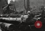 Standbild Holzindustrie United States USA, 1920, aus Sekunde 40 historischem Filmmaterial Videoclip 65675064423