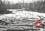 Standbild Holzindustrie United States USA, 1920, aus Sekunde 31 historischem Filmmaterial Videoclip 65675064424