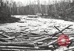 Standbild Holzindustrie United States USA, 1920, aus Sekunde 32 historischem Filmmaterial Videoclip 65675064424