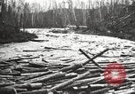 Standbild Holzindustrie United States USA, 1920, aus Sekunde 33 historischem Filmmaterial Videoclip 65675064424