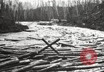 Standbild Holzindustrie United States USA, 1920, aus Sekunde 34 historischem Filmmaterial Videoclip 65675064424
