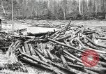 Standbild Holzindustrie United States USA, 1920, aus Sekunde 35 historischem Filmmaterial Videoclip 65675064424