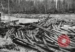 Standbild Holzindustrie United States USA, 1920, aus Sekunde 36 historischem Filmmaterial Videoclip 65675064424
