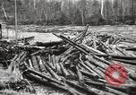 Standbild Holzindustrie United States USA, 1920, aus Sekunde 37 historischem Filmmaterial Videoclip 65675064424