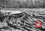 Standbild Holzindustrie United States USA, 1920, aus Sekunde 38 historischem Filmmaterial Videoclip 65675064424