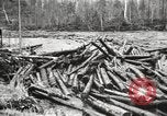 Standbild Holzindustrie United States USA, 1920, aus Sekunde 39 historischem Filmmaterial Videoclip 65675064424