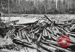 Standbild Holzindustrie United States USA, 1920, aus Sekunde 40 historischem Filmmaterial Videoclip 65675064424