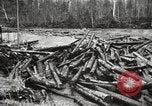 Standbild Holzindustrie United States USA, 1920, aus Sekunde 42 historischem Filmmaterial Videoclip 65675064424