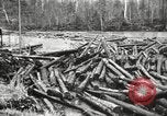 Standbild Holzindustrie United States USA, 1920, aus Sekunde 43 historischem Filmmaterial Videoclip 65675064424