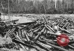 Standbild Holzindustrie United States USA, 1920, aus Sekunde 44 historischem Filmmaterial Videoclip 65675064424