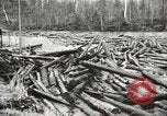 Standbild Holzindustrie United States USA, 1920, aus Sekunde 45 historischem Filmmaterial Videoclip 65675064424