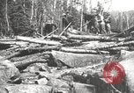 Standbild Holzindustrie United States USA, 1920, aus Sekunde 59 historischem Filmmaterial Videoclip 65675064424