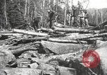 Standbild Holzindustrie United States USA, 1920, aus Sekunde 61 historischem Filmmaterial Videoclip 65675064424
