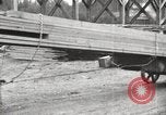 Image of lumber industry United States USA, 1920, second 16 stock footage video 65675064426
