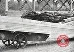 Image of lumber industry United States USA, 1920, second 19 stock footage video 65675064426