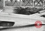 Image of lumber industry United States USA, 1920, second 20 stock footage video 65675064426
