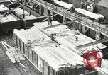Image of lumber industry United States USA, 1920, second 37 stock footage video 65675064426
