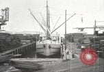 Image of lumber industry United States USA, 1920, second 50 stock footage video 65675064426