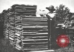 Image of lumber industry United States USA, 1920, second 11 stock footage video 65675064427