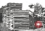 Image of lumber industry United States USA, 1920, second 12 stock footage video 65675064427